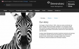 Investec AM website